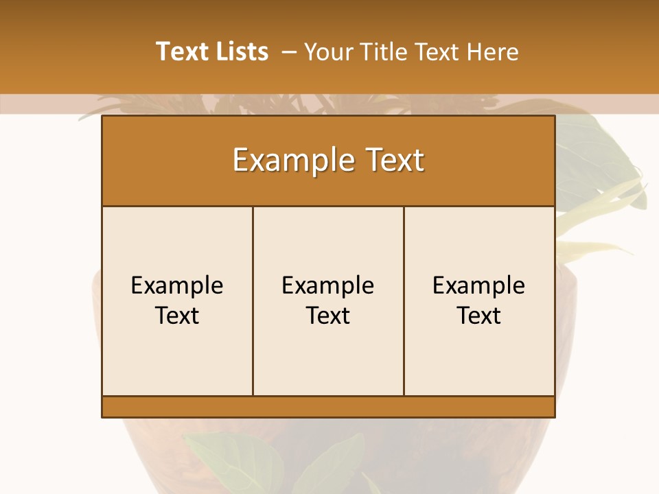 Health Tool Pestle PowerPoint Template