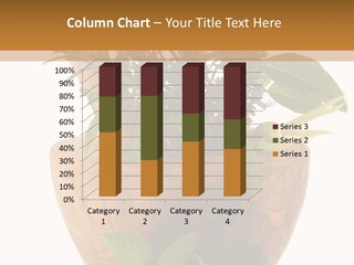 Health Tool Pestle PowerPoint Template