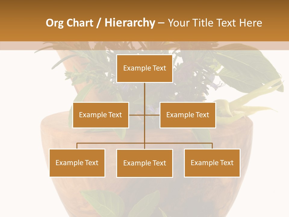 Health Tool Pestle PowerPoint Template