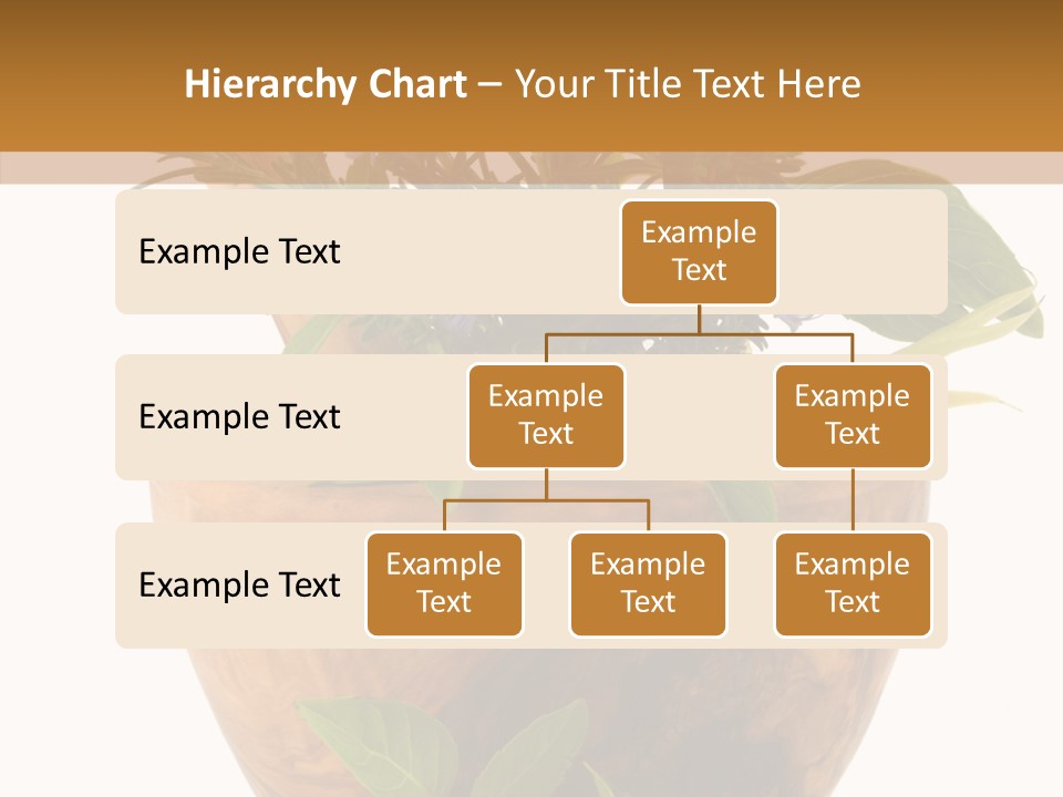 Health Tool Pestle PowerPoint Template