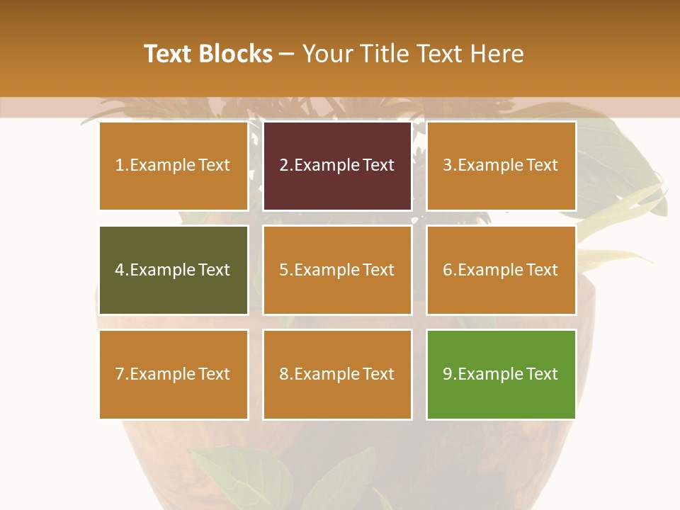 Health Tool Pestle PowerPoint Template
