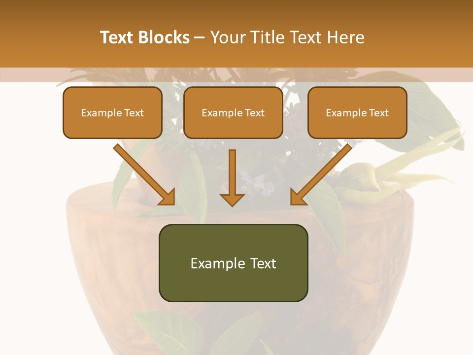 Health Tool Pestle PowerPoint Template
