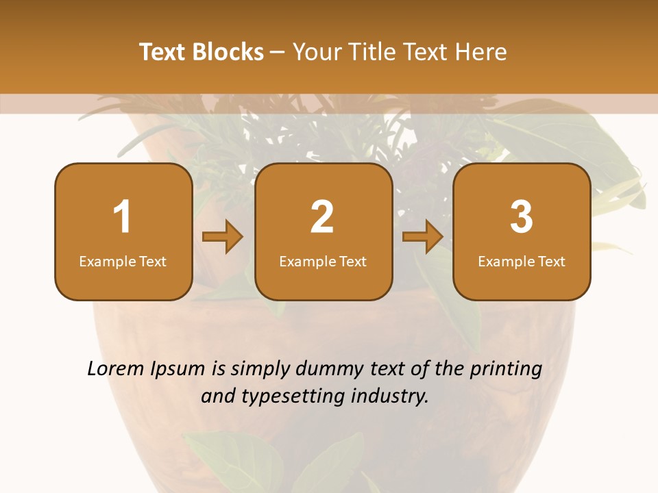 Health Tool Pestle PowerPoint Template