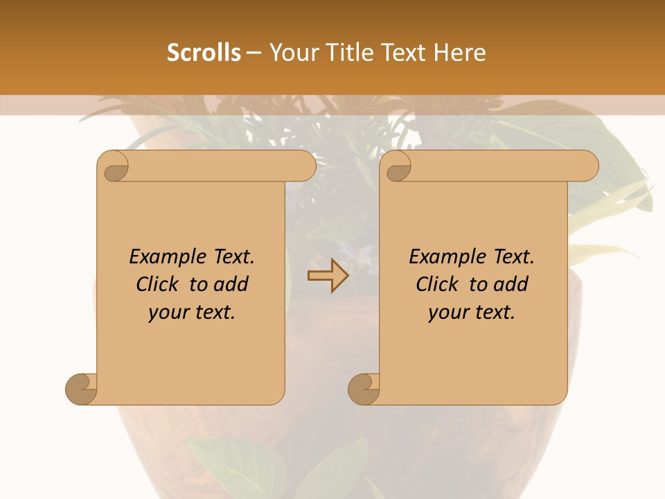 Health Tool Pestle PowerPoint Template