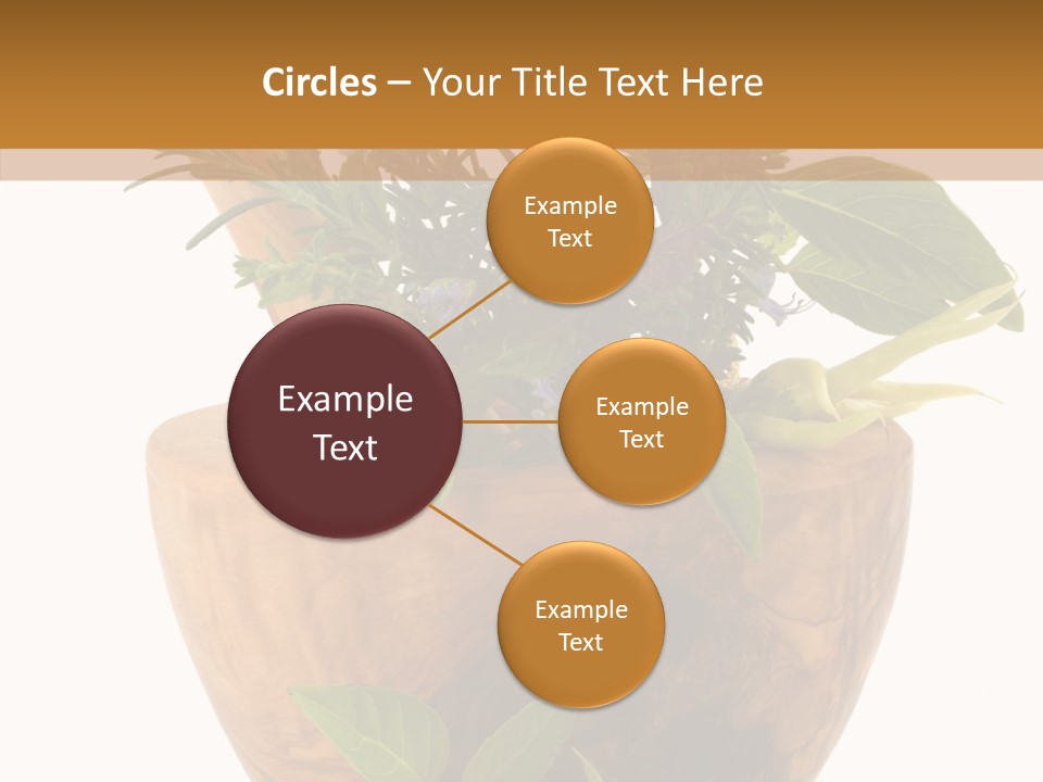 Health Tool Pestle PowerPoint Template