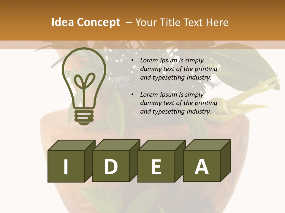 Health Tool Pestle PowerPoint Template