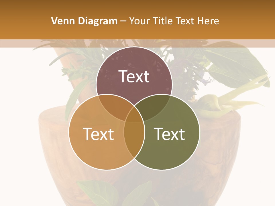 Health Tool Pestle PowerPoint Template
