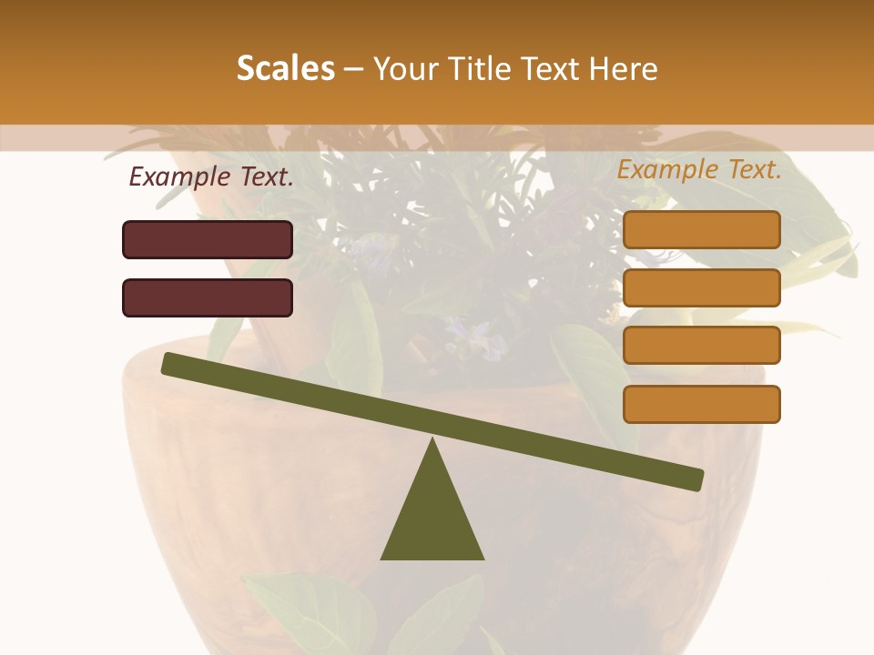 Health Tool Pestle PowerPoint Template