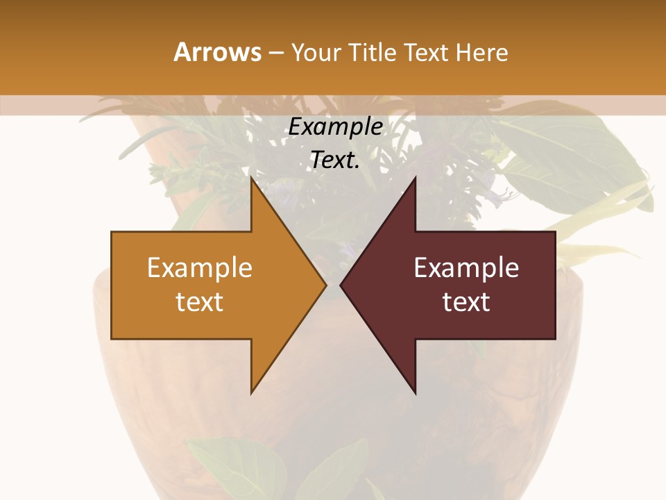 Health Tool Pestle PowerPoint Template