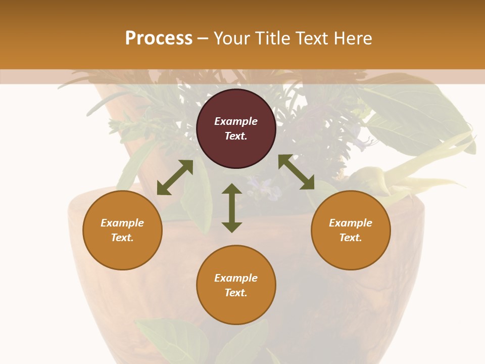 Health Tool Pestle PowerPoint Template