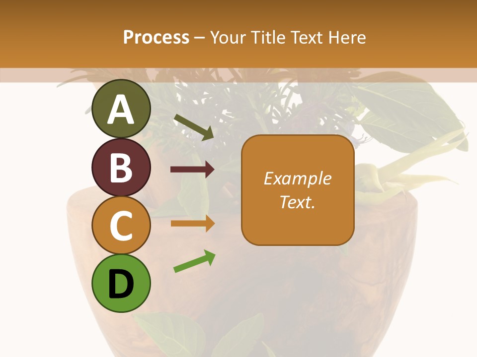 Health Tool Pestle PowerPoint Template