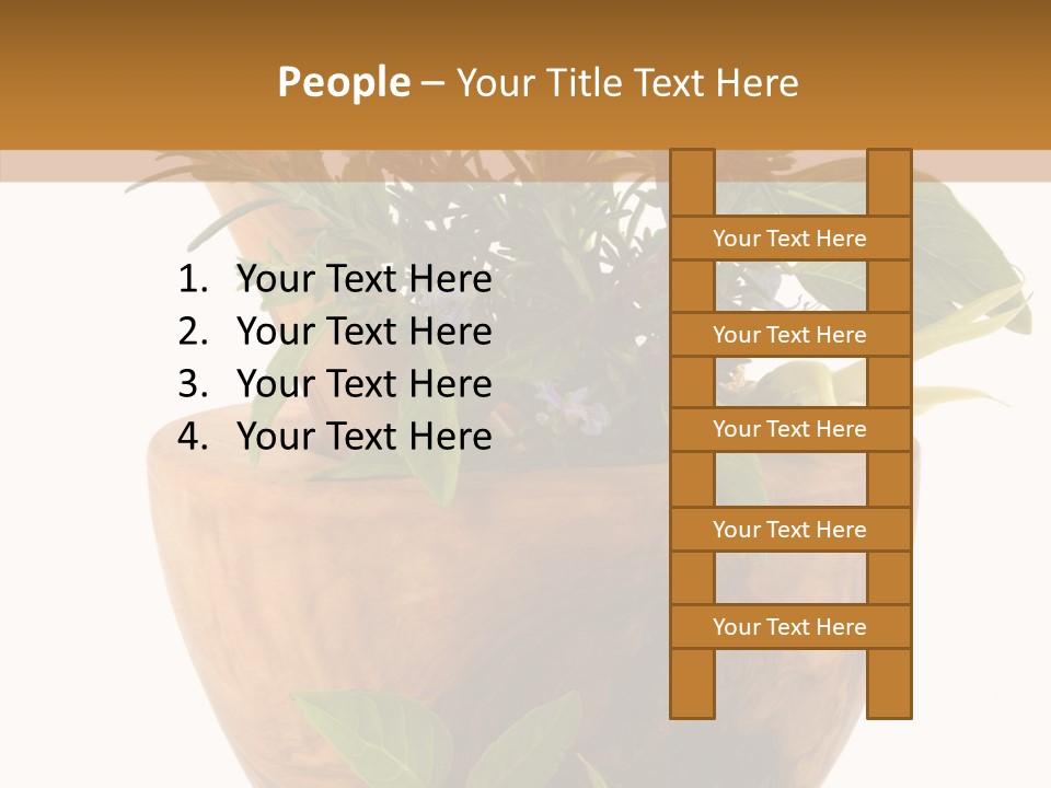 Health Tool Pestle PowerPoint Template