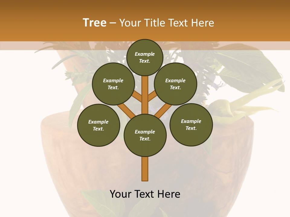 Health Tool Pestle PowerPoint Template