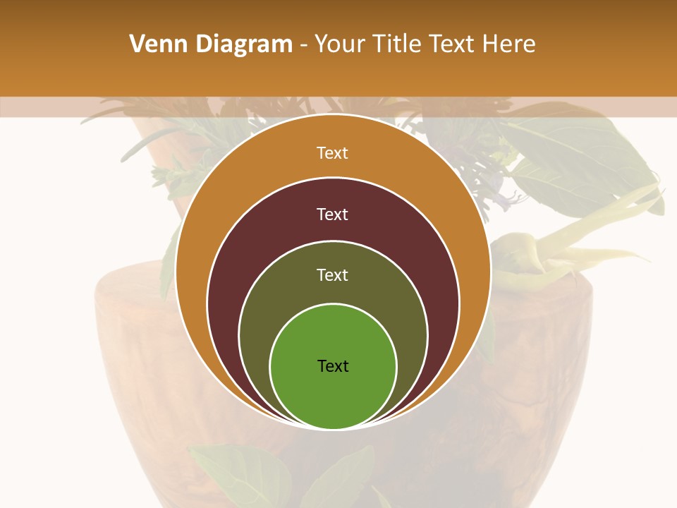 Health Tool Pestle PowerPoint Template