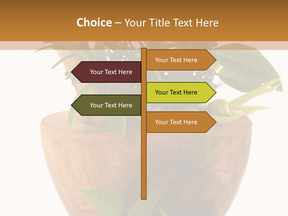 Health Tool Pestle PowerPoint Template