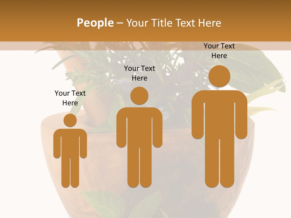 Health Tool Pestle PowerPoint Template