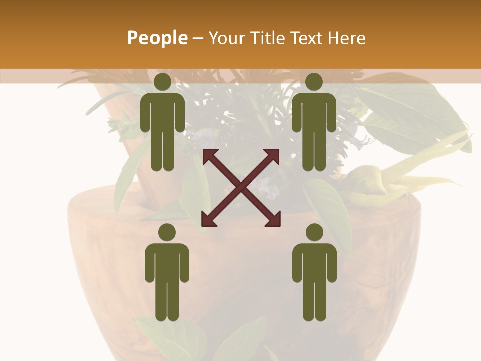 Health Tool Pestle PowerPoint Template