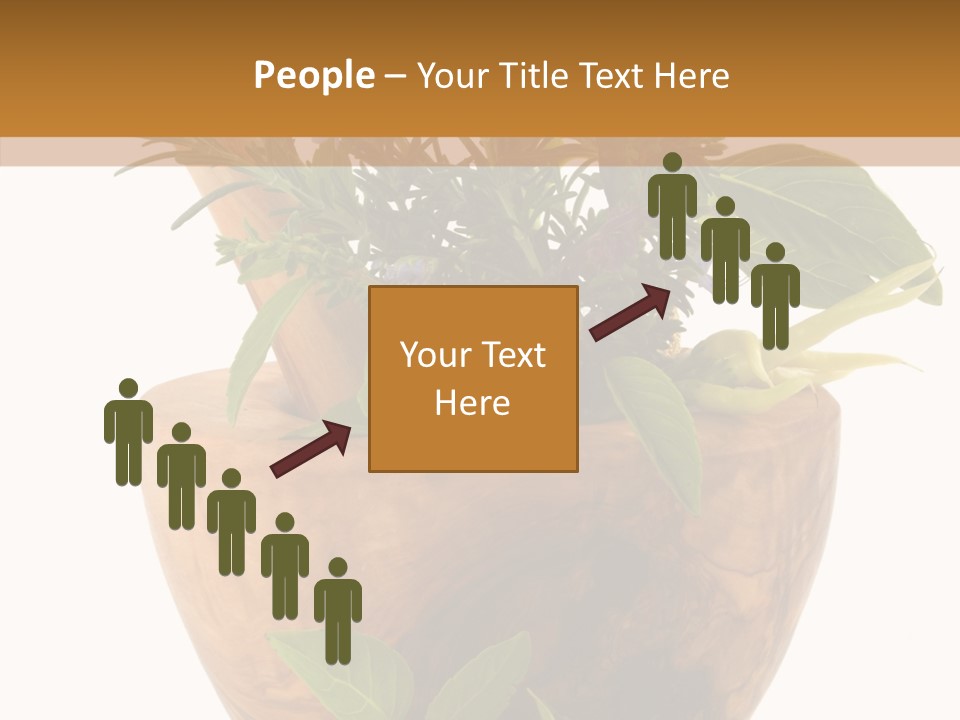 Health Tool Pestle PowerPoint Template