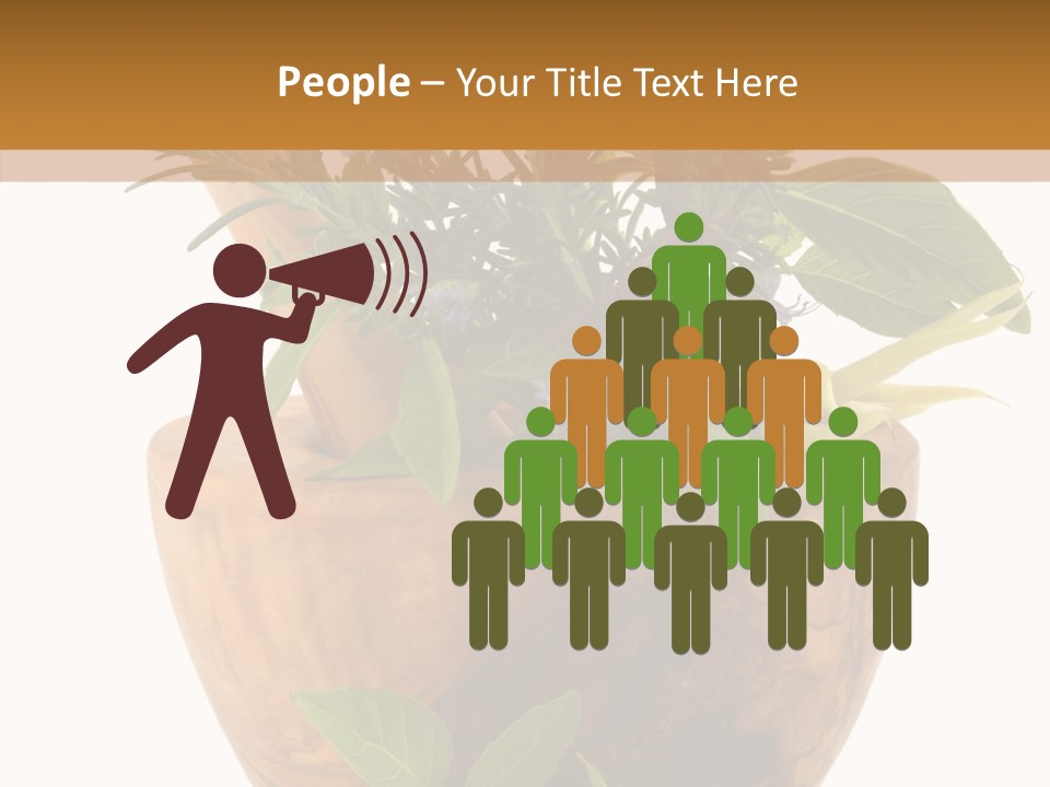 Health Tool Pestle PowerPoint Template