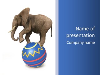 Standing Animal Pachyderm PowerPoint Template