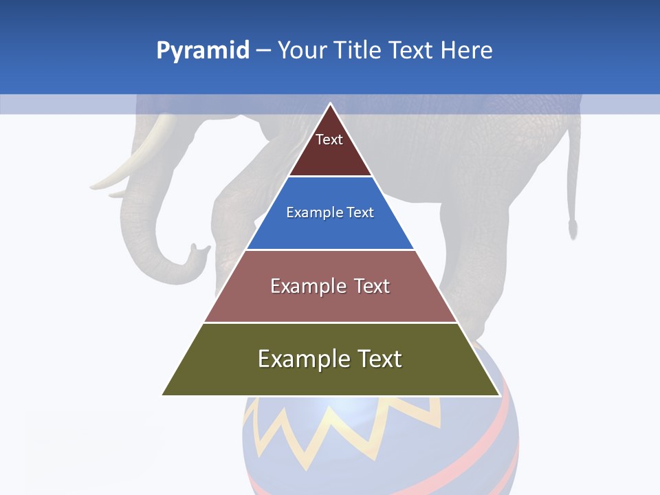 Standing Animal Pachyderm PowerPoint Template