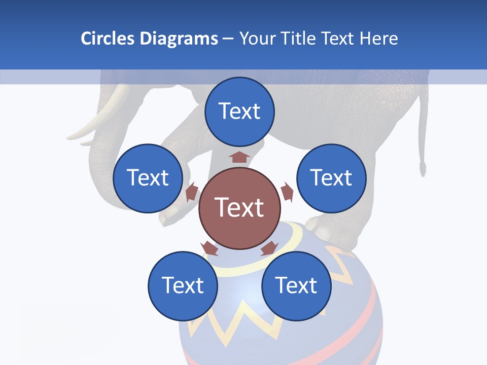 Standing Animal Pachyderm PowerPoint Template