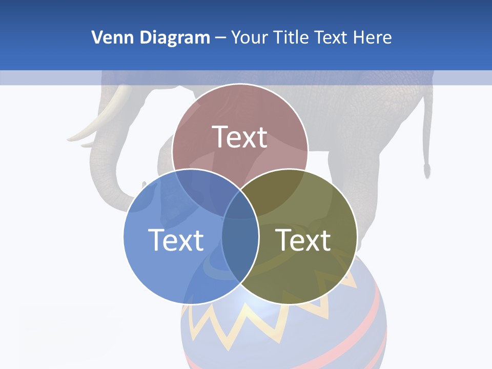 Standing Animal Pachyderm PowerPoint Template