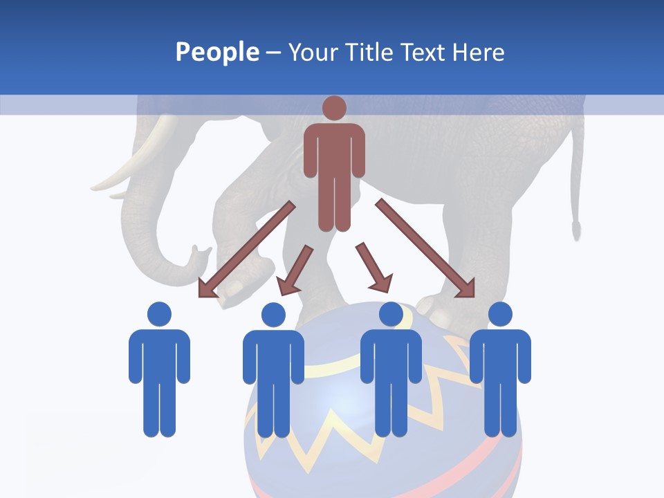 Standing Animal Pachyderm PowerPoint Template