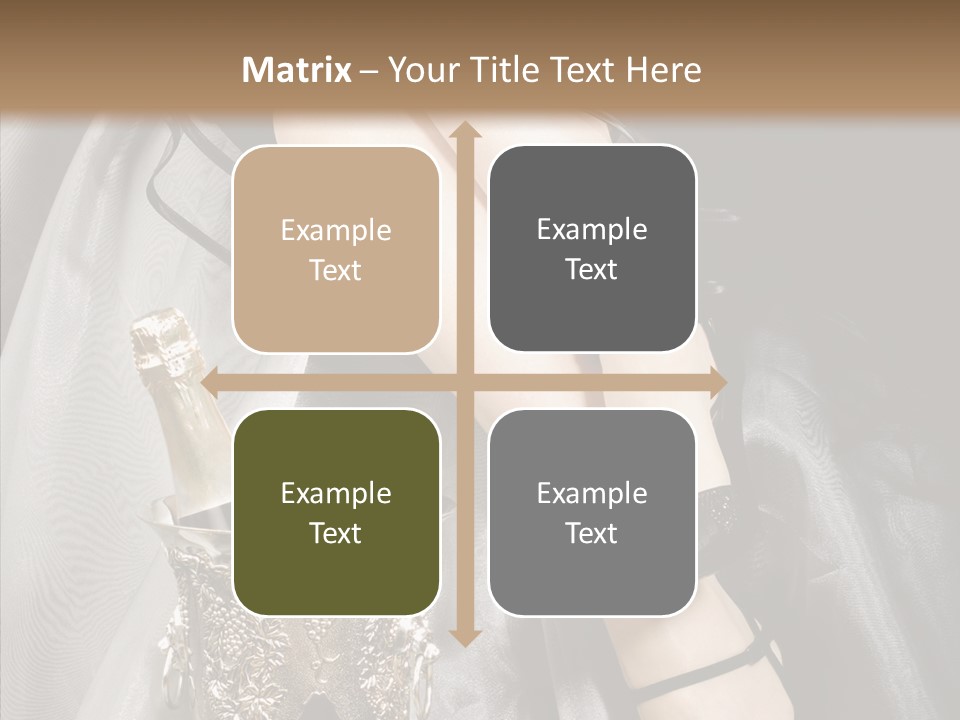 Lifestyles Celebration Skirt PowerPoint Template