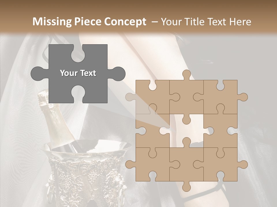 Lifestyles Celebration Skirt PowerPoint Template