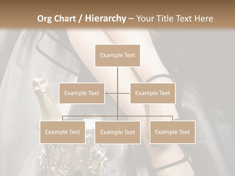 Lifestyles Celebration Skirt PowerPoint Template