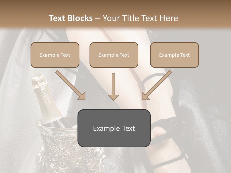 Lifestyles Celebration Skirt PowerPoint Template