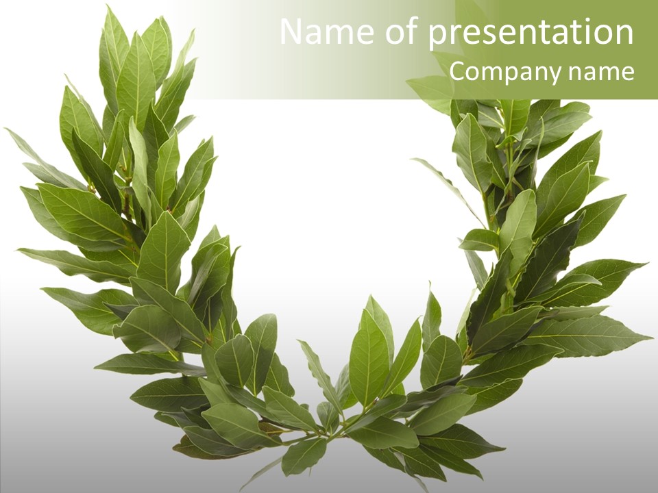 Natural Award Prize PowerPoint Template