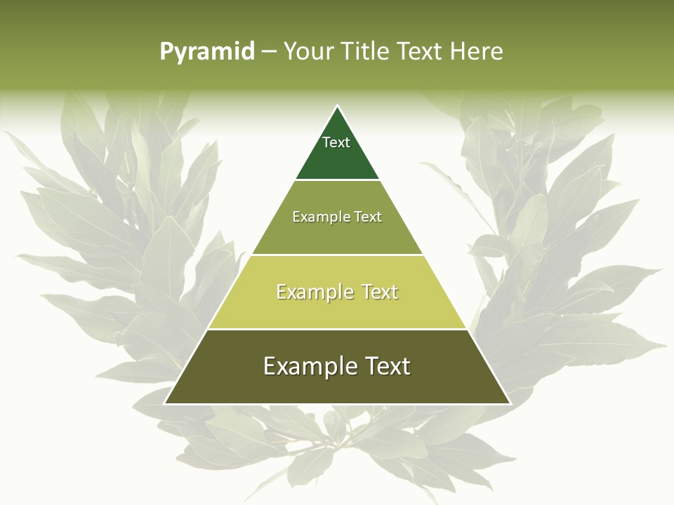 Natural Award Prize PowerPoint Template