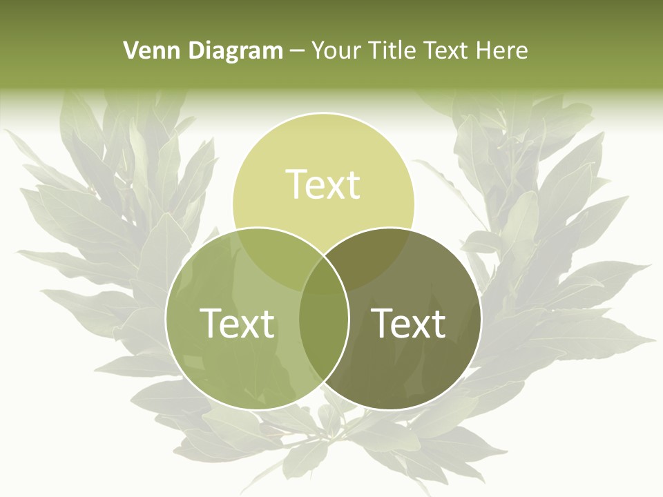 Natural Award Prize PowerPoint Template