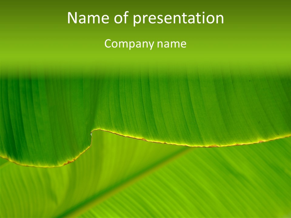 Fresh Tropic Fertile PowerPoint Template