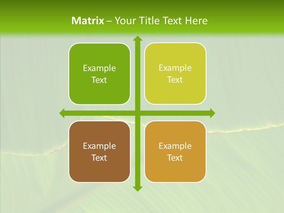Fresh Tropic Fertile PowerPoint Template