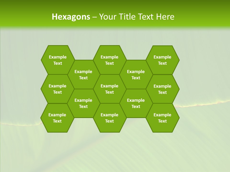 Fresh Tropic Fertile PowerPoint Template