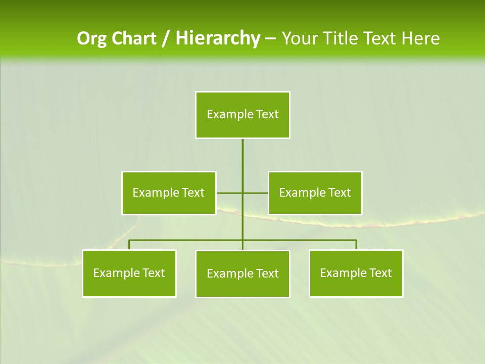 Fresh Tropic Fertile PowerPoint Template