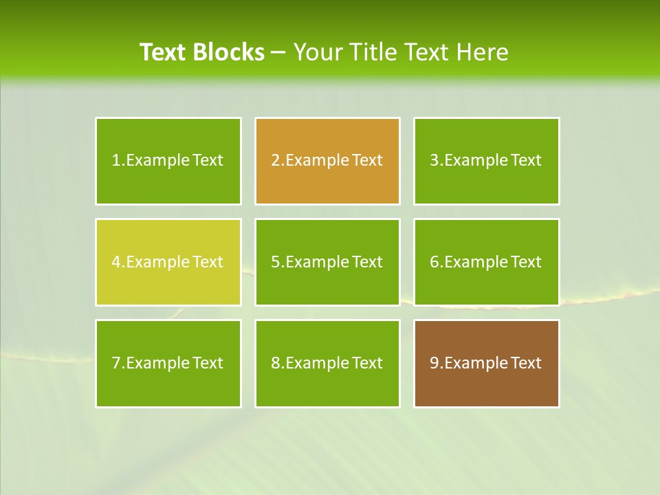Fresh Tropic Fertile PowerPoint Template