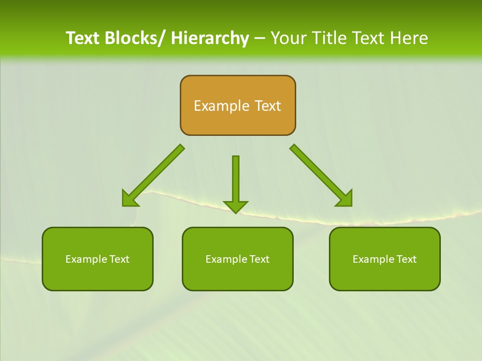 Fresh Tropic Fertile PowerPoint Template