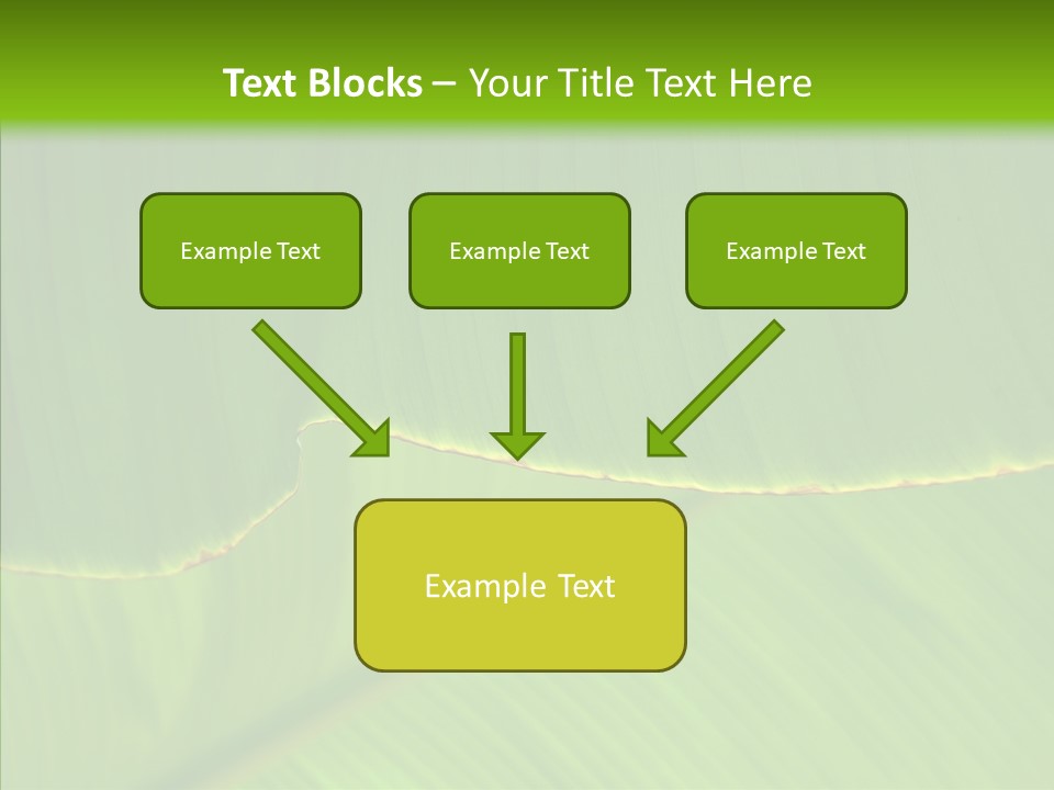 Fresh Tropic Fertile PowerPoint Template
