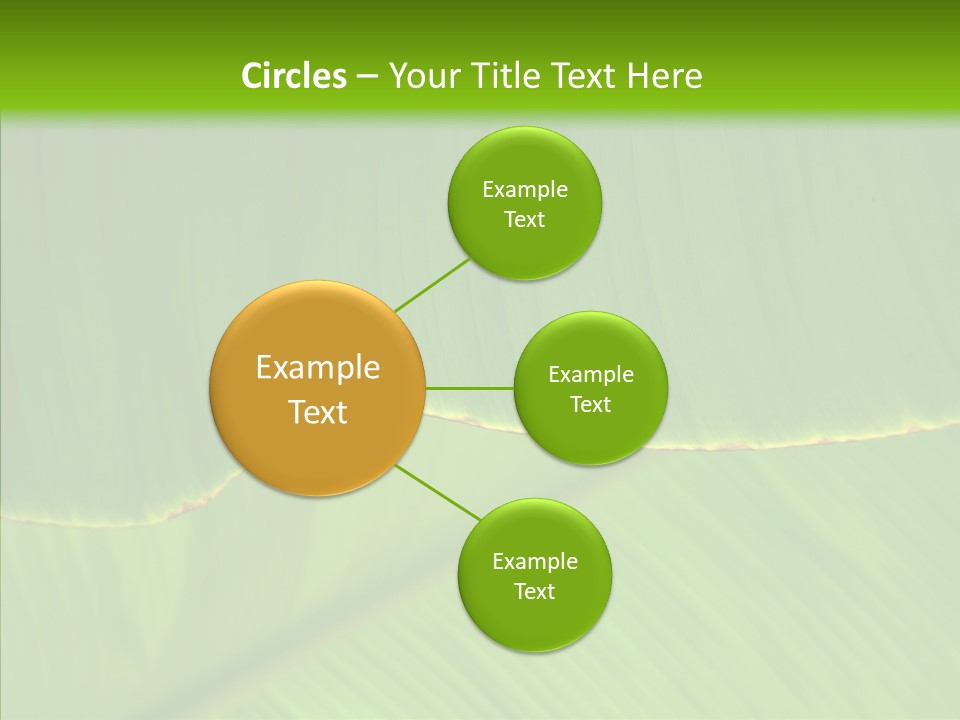 Fresh Tropic Fertile PowerPoint Template