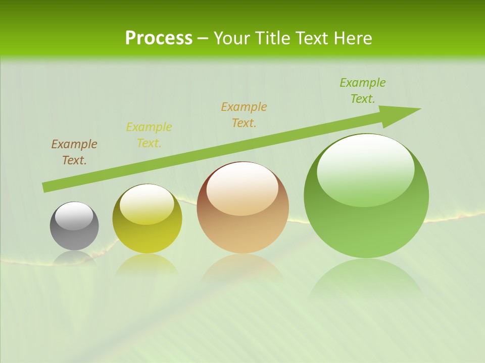 Fresh Tropic Fertile PowerPoint Template