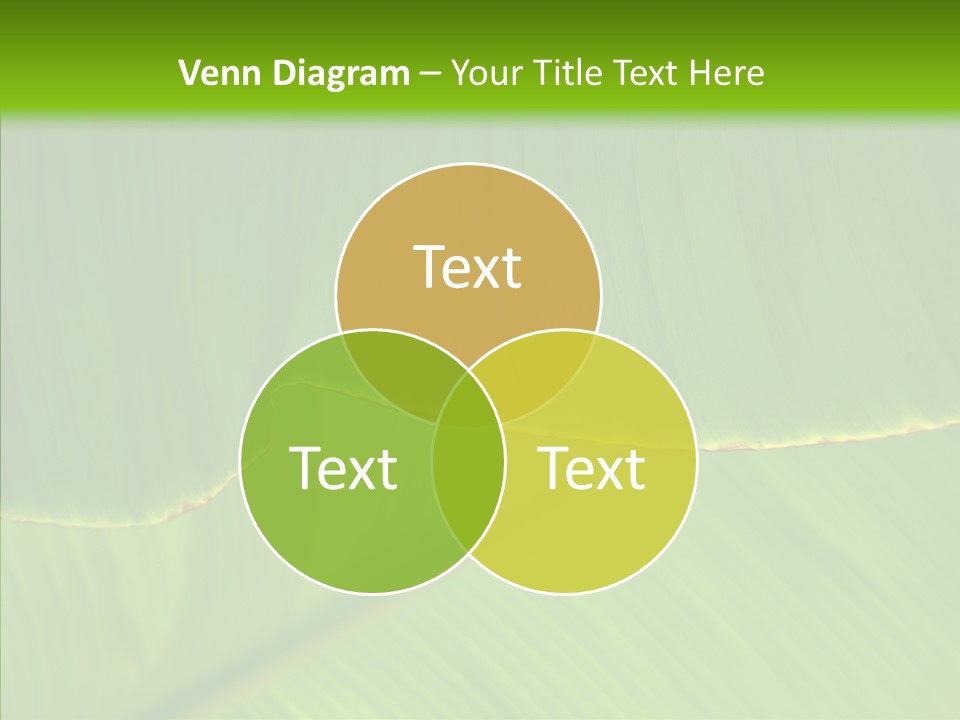Fresh Tropic Fertile PowerPoint Template