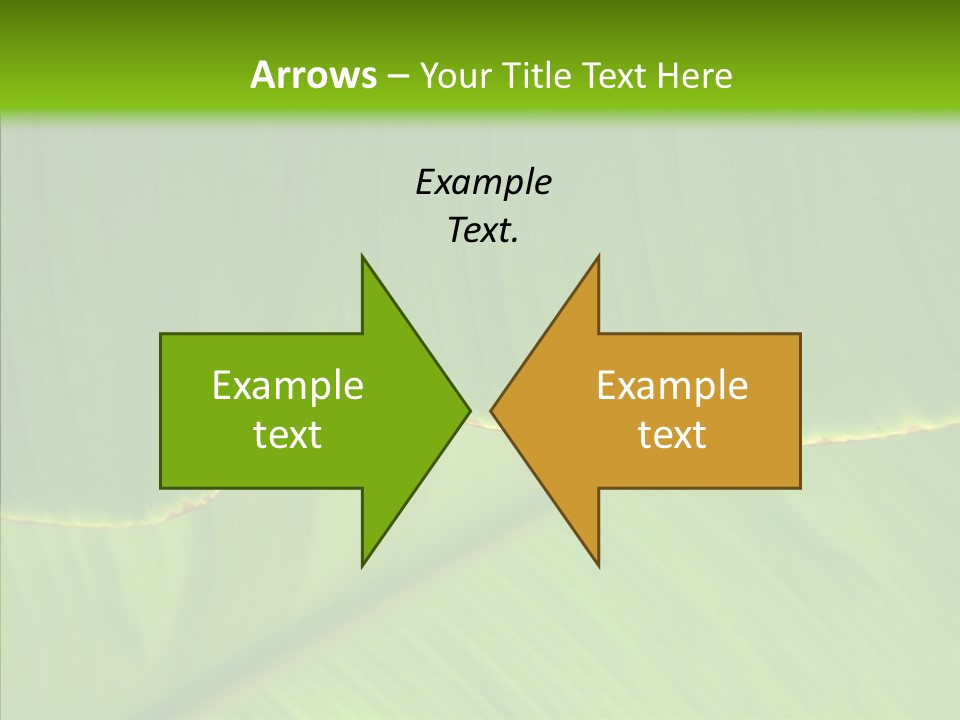 Fresh Tropic Fertile PowerPoint Template
