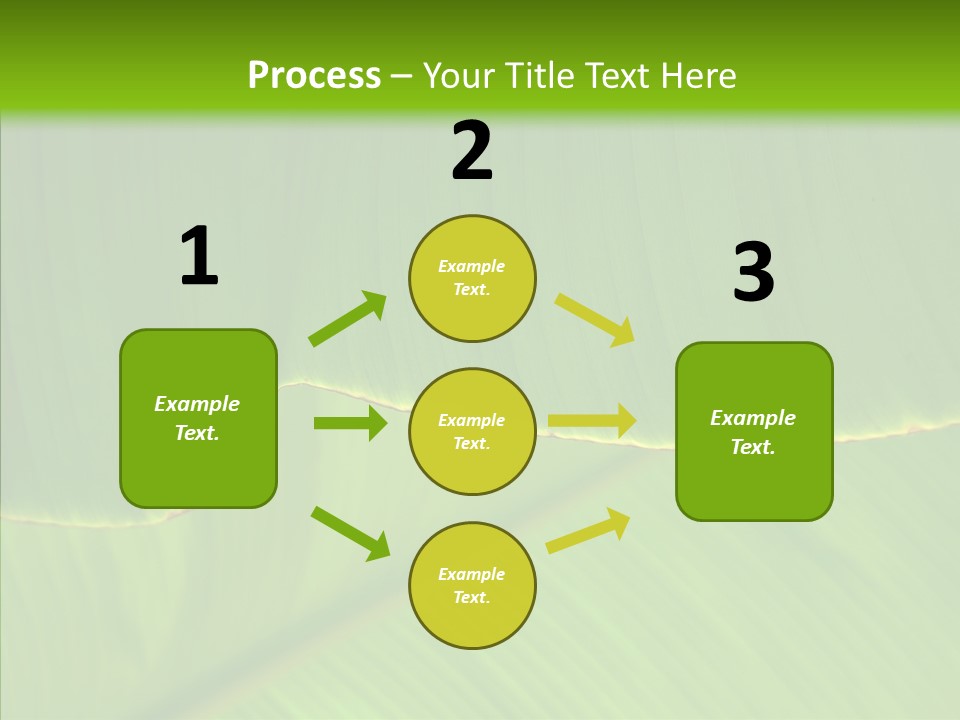 Fresh Tropic Fertile PowerPoint Template