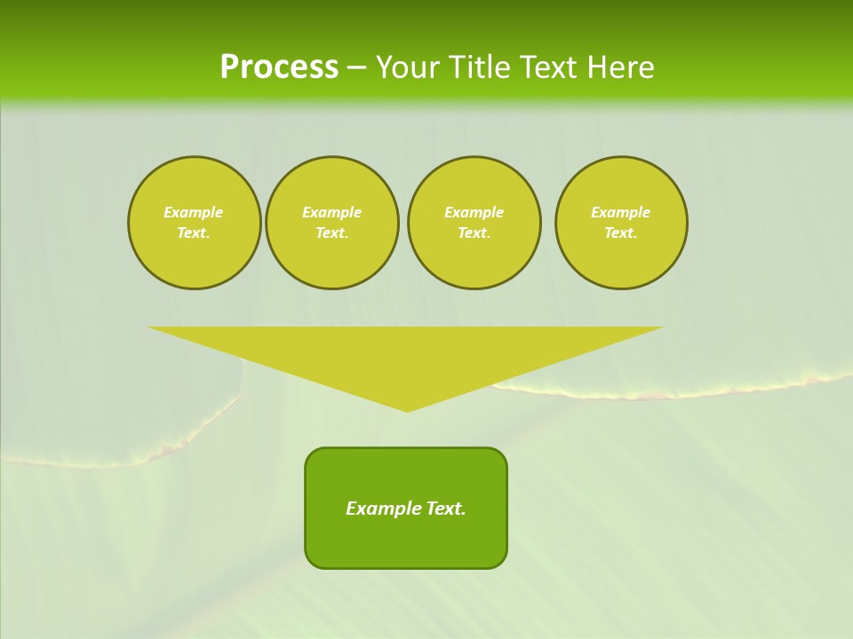 Fresh Tropic Fertile PowerPoint Template