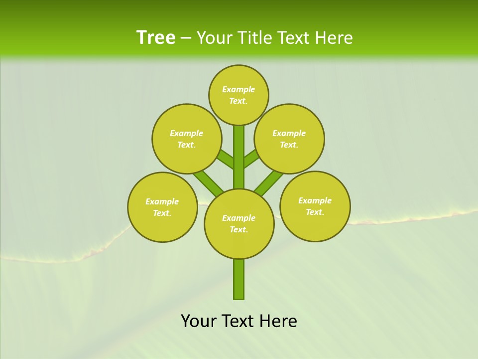 Fresh Tropic Fertile PowerPoint Template
