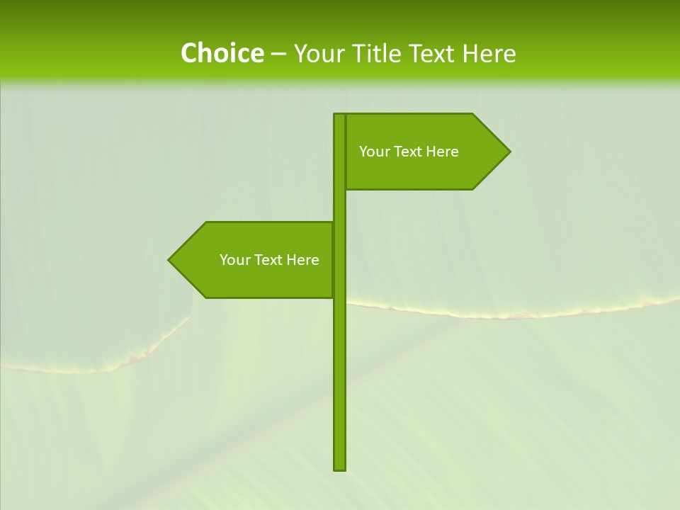 Fresh Tropic Fertile PowerPoint Template